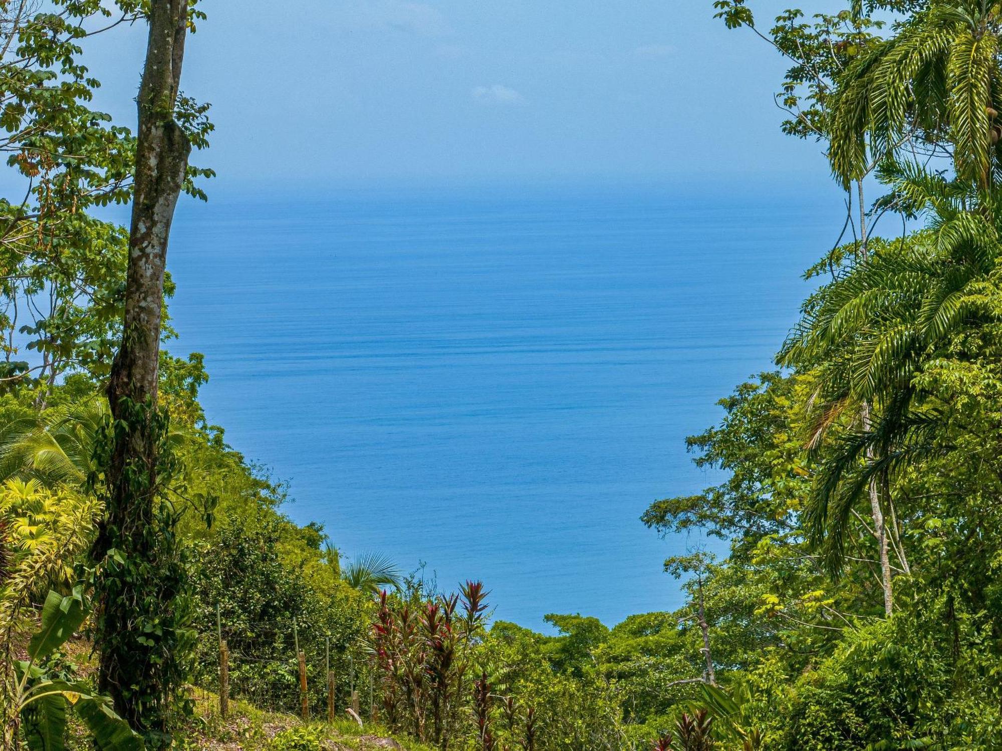 The Jungle Inn Dominicalito Экстерьер фото